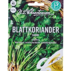 Saatgut Blattkoriander Caribe ca. 80 Pflanzen