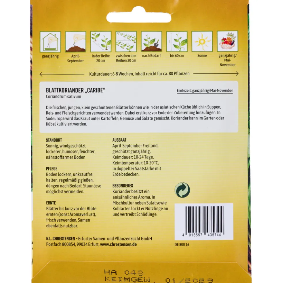 Saatgut Blattkoriander Caribe ca. 80 Pflanzen