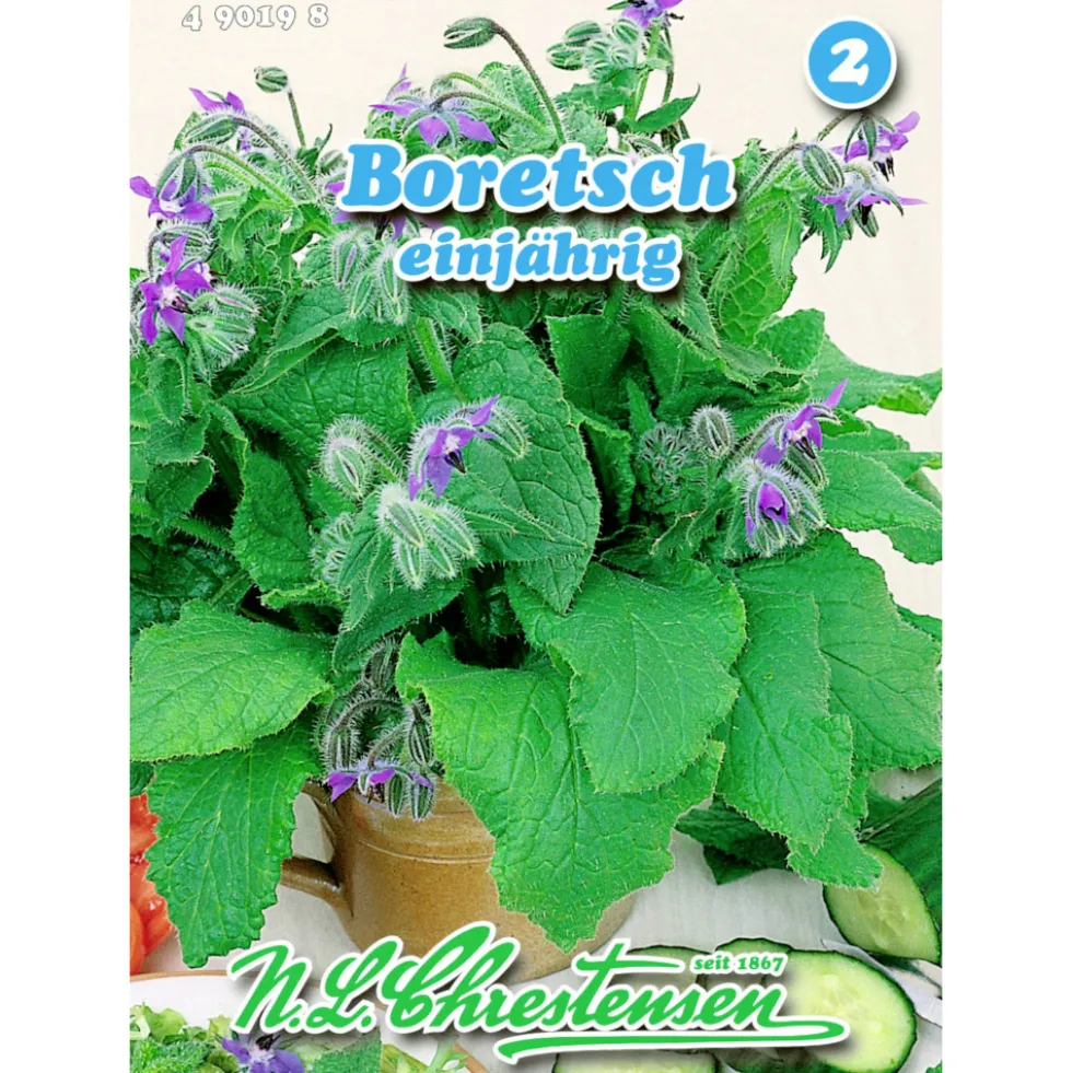 Saatgut Boretsch ca. 80 Pflanzen