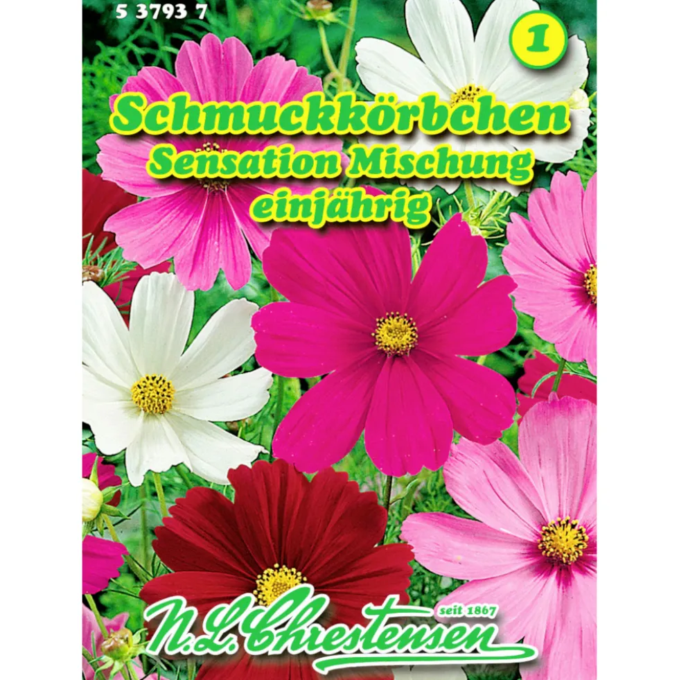 Saatgut Cosmos Sensations-Mix ca. 40 Pflanzen