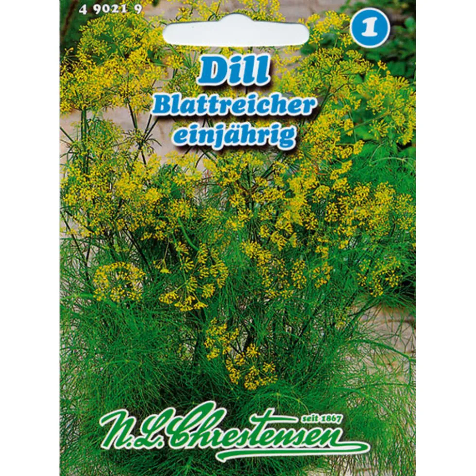 Saatgut Dill ca. 4 - 5 laufende Meter