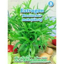 Saatgut Estragon russischer Art ca. 200 Pflanzen