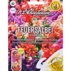 Saatgut Feuersalbei Cleopatra