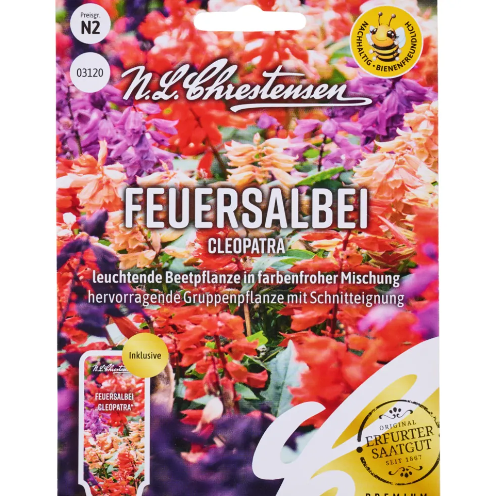 Saatgut Feuersalbei Cleopatra