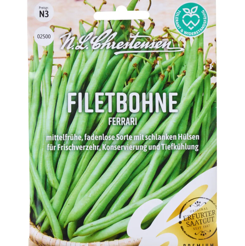Saatgut Filetbohne Ferrari