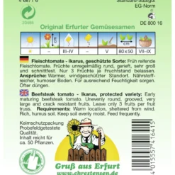 Saatgut Fleischtomate Ikarus ca. 50 Pflanzen