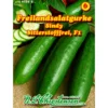 Saatgut Freilandsalatgurke Sindy ca. 8-10 Pflanzen