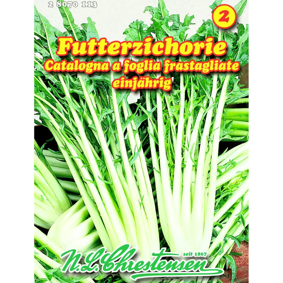Saatgut Futterzichorie ca. 12 – 15 laufende Meter