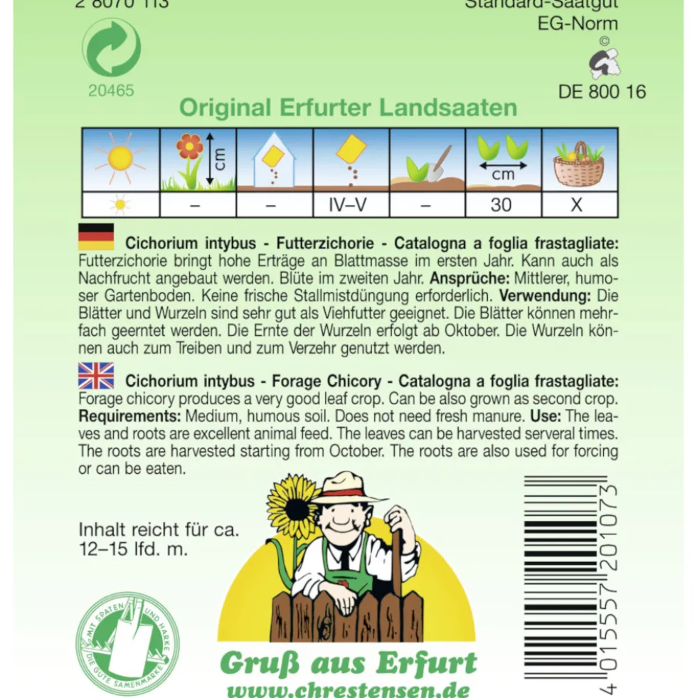 Saatgut Futterzichorie ca. 12 – 15 laufende Meter