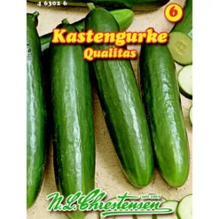 Saatgut Kastengurke Qualitas ca. 8-9 Pflanzen