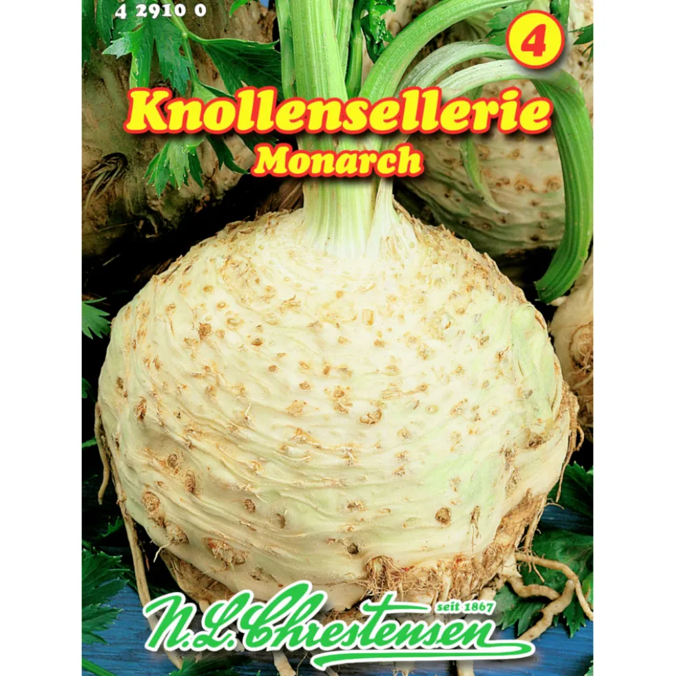 Saatgut Knollensellerie Monarch ca. 200 Pflanzen