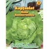Saatgut Kopfsalat Mona ca. 200 Pflanzen