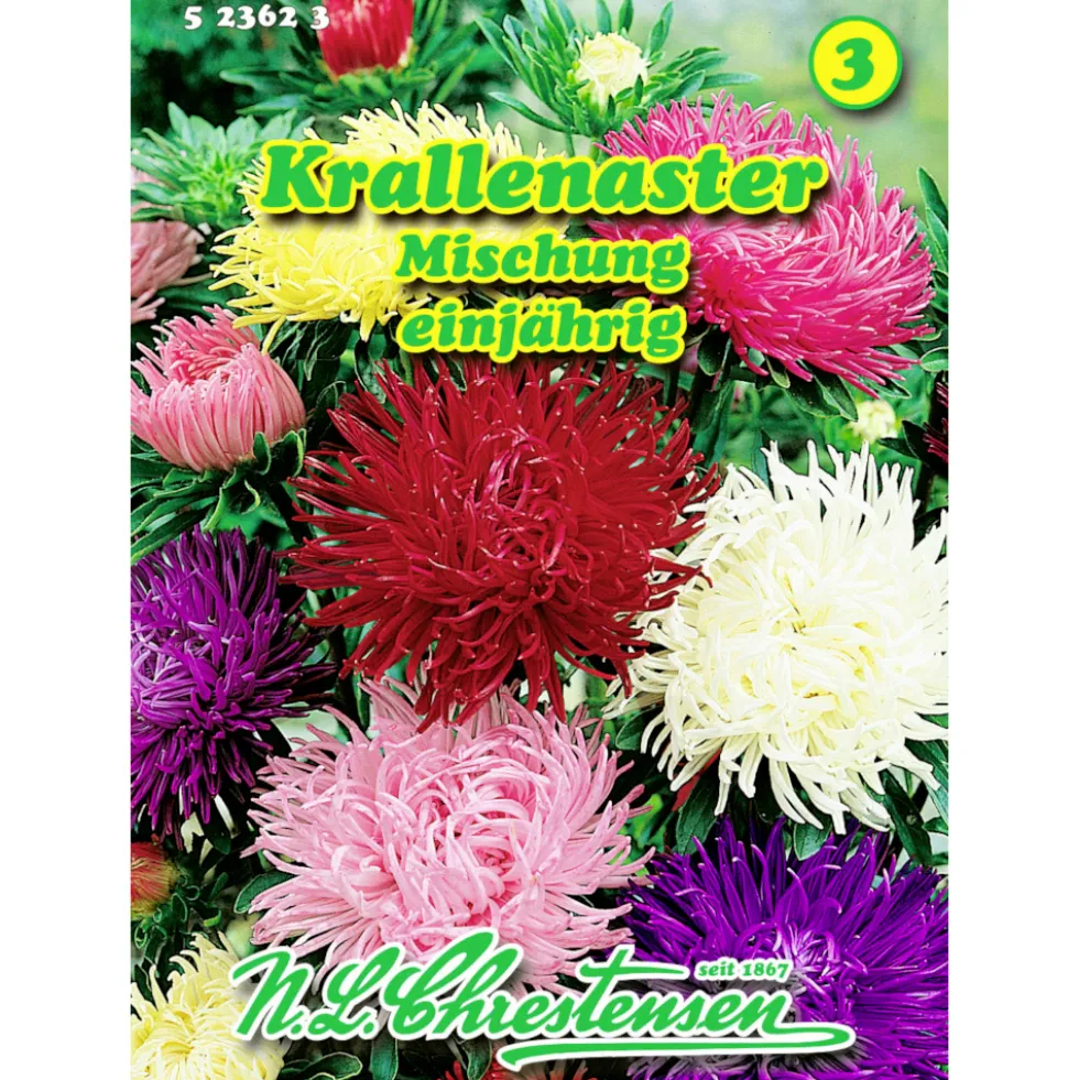 Saatgut Krallenaster Mix ca. 80 Pflanzen