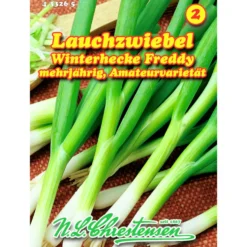 Saatgut Lauchzwiebel ca. 3 laufende Meter