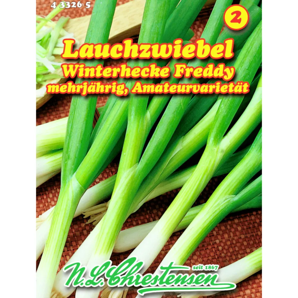Saatgut Lauchzwiebel ca. 3 laufende Meter