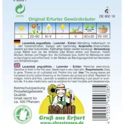 Saatgut Lavendel Echter ca. 400 Pflanzen