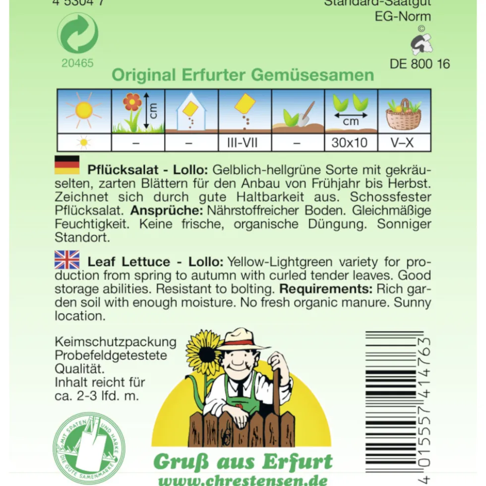 Saatgut Lollo Bionda ca. 2-3 laufende Meter