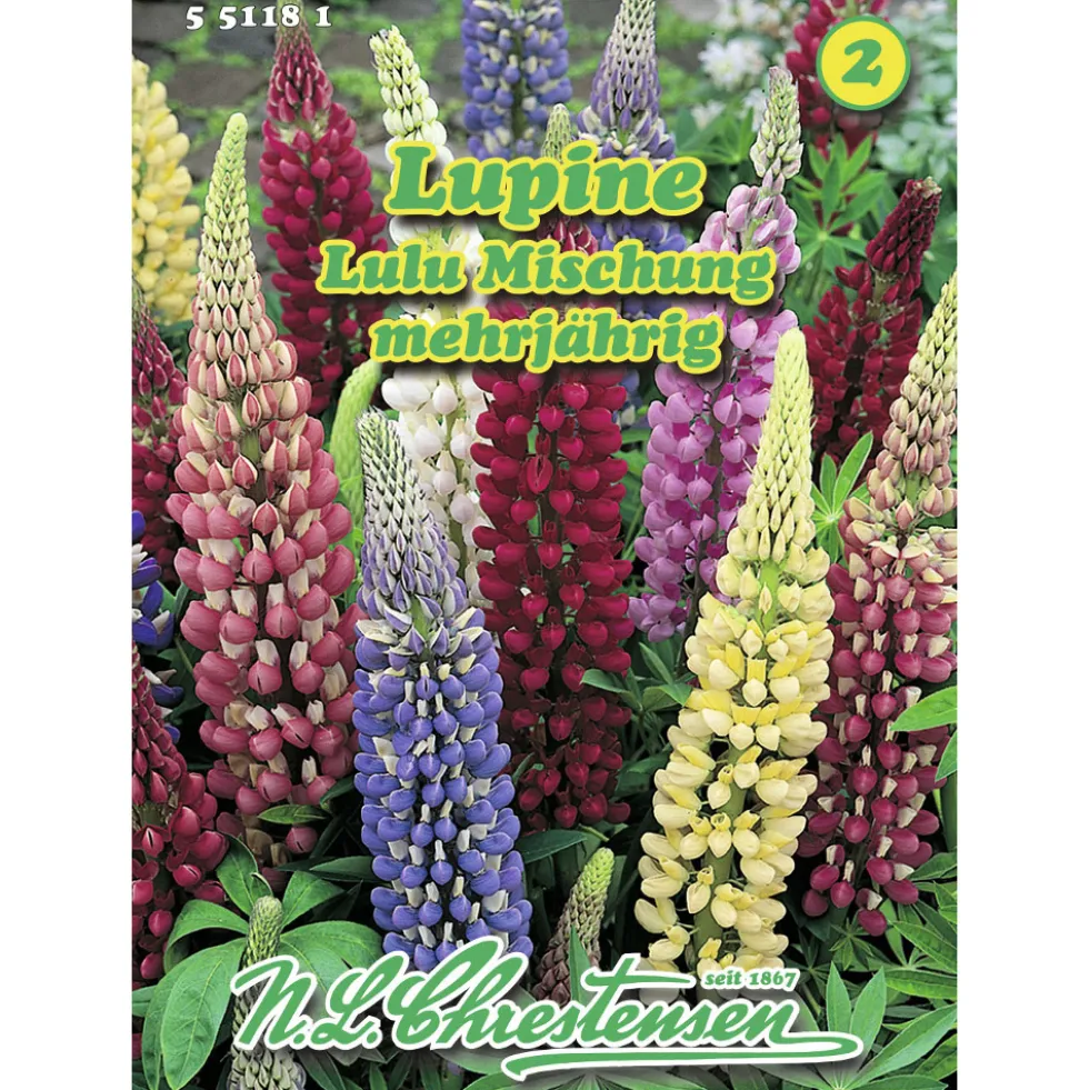 Saatgut Lupine Lulu Mix ca. 20 Pflanzen bunt