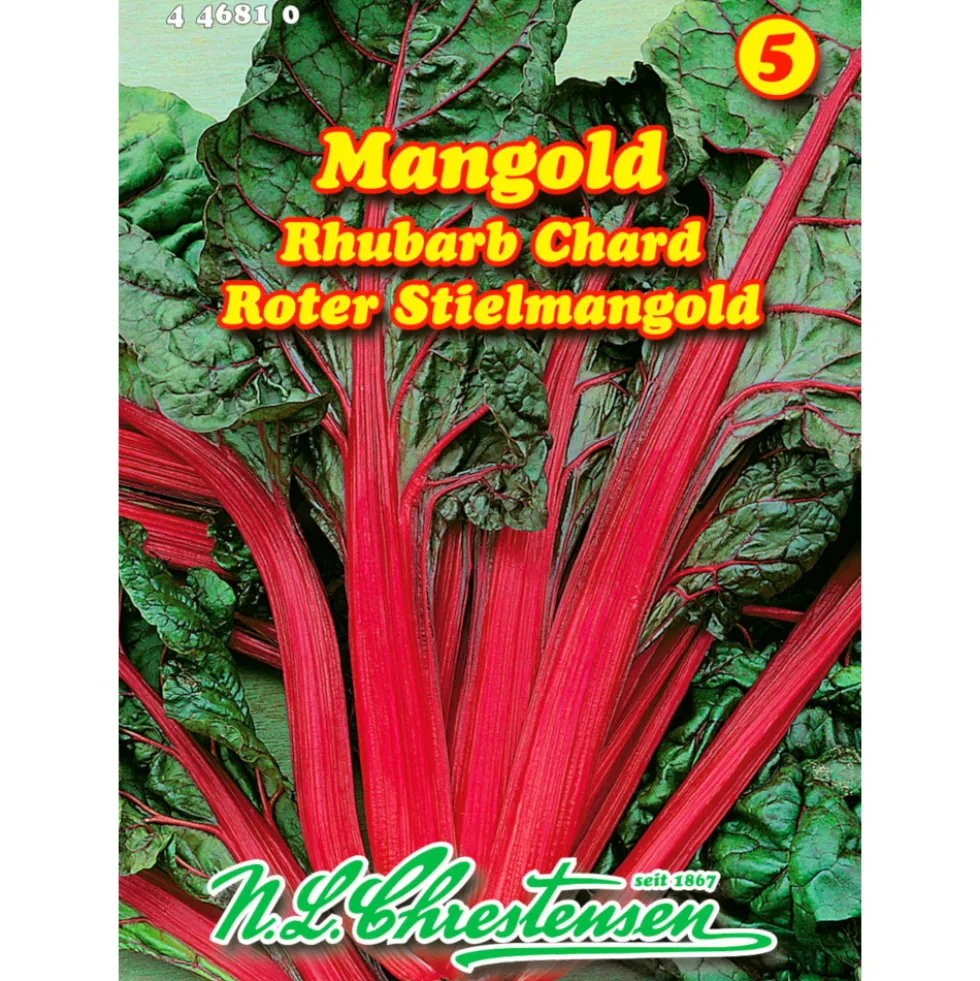 Saatgut Mangold Rhubarb Chard ca. 5 laufende Meter