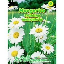 Saatgut Margerite ca. 80 Pflanzen
