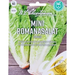 Saatgut Mini Romanasalat Xanadu