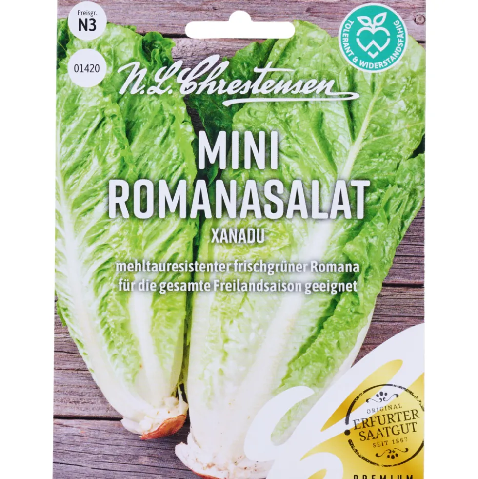 Saatgut Mini Romanasalat Xanadu