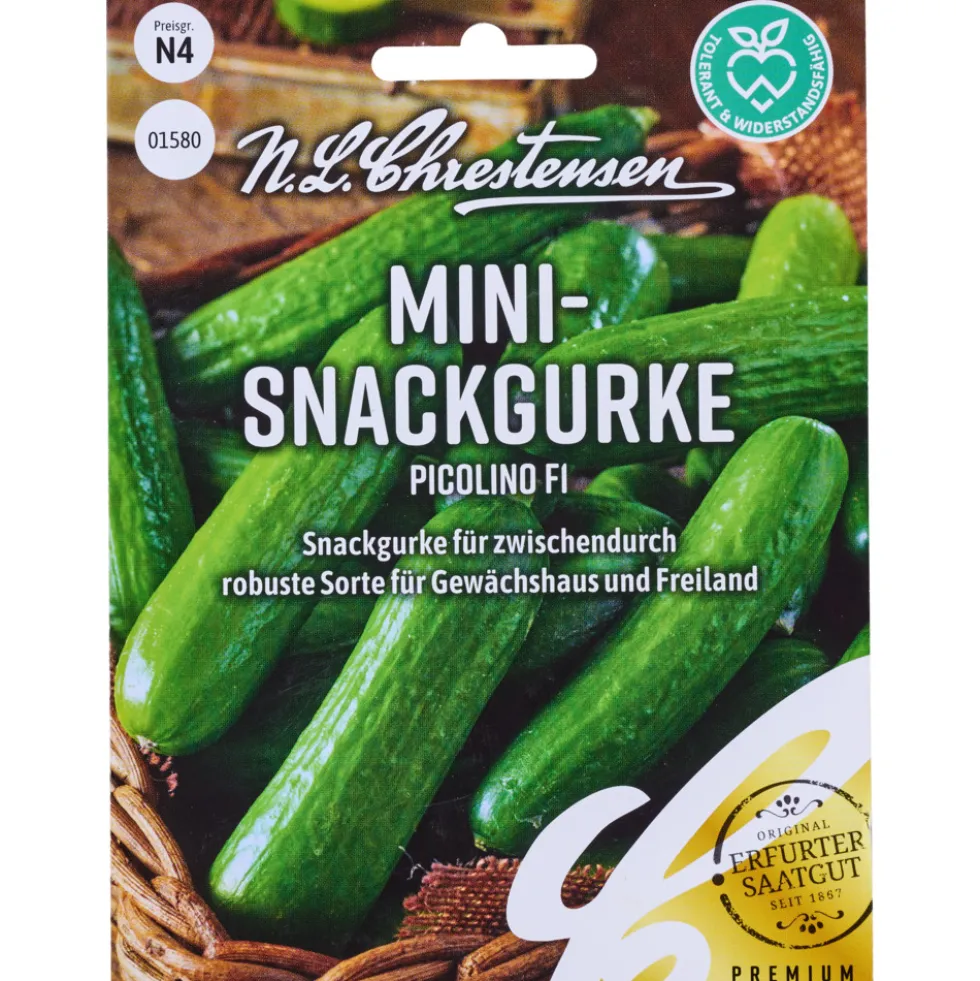 Saatgut Mini Snackgurke Picolino F1