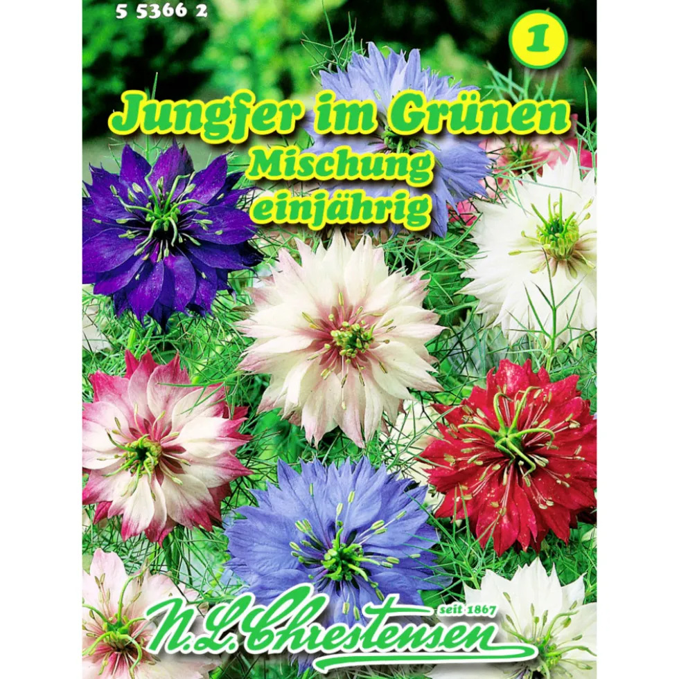 Saatgut Nigella Jungfer im Grünen ca. 120 Pflanzen