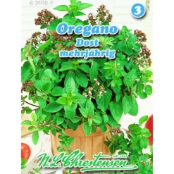 Saatgut Oregano Dost ca. 300 Pflanzen