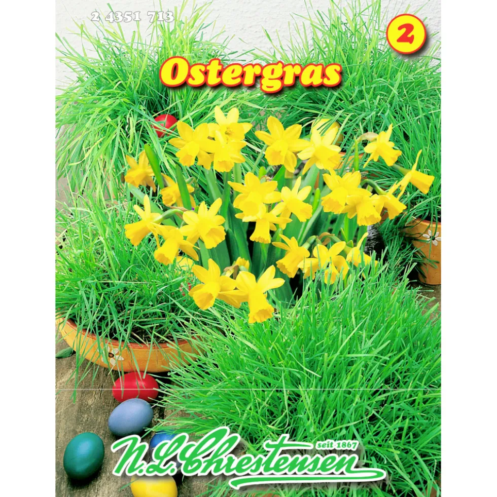 Saatgut Ostergras ca. 1 m²
