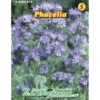 Saatgut Phacelia ca. 10 m²