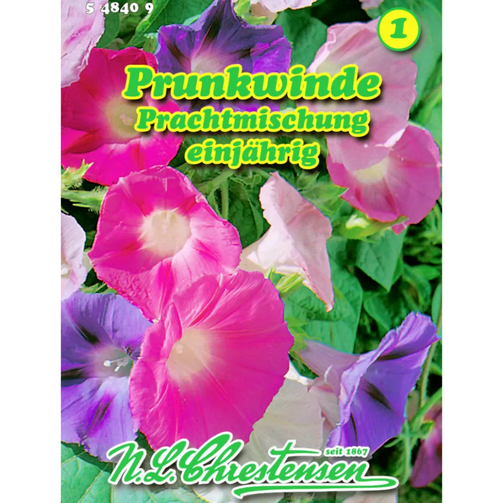 Saatgut Pharbitis Purpuea Prachtmix ca. 20 Pflanzen