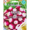 Saatgut Radies Diana