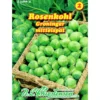 Saatgut Rosenkohl Groninger ca. 120 Pflanzen