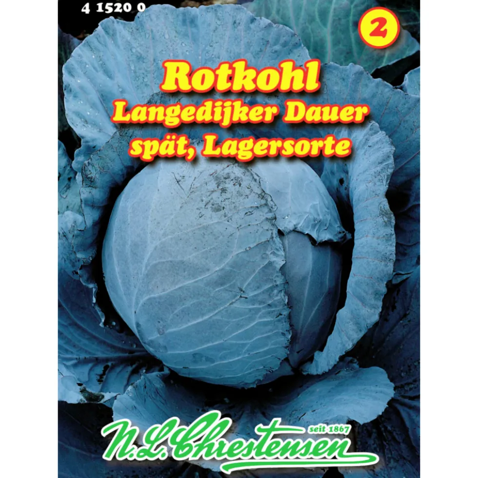 Saatgut Rotkohl Langendijker Dauer ca. 120 Pflanzen