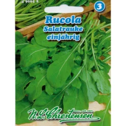 Saatgut Rucola ca. 350 Pflanzen