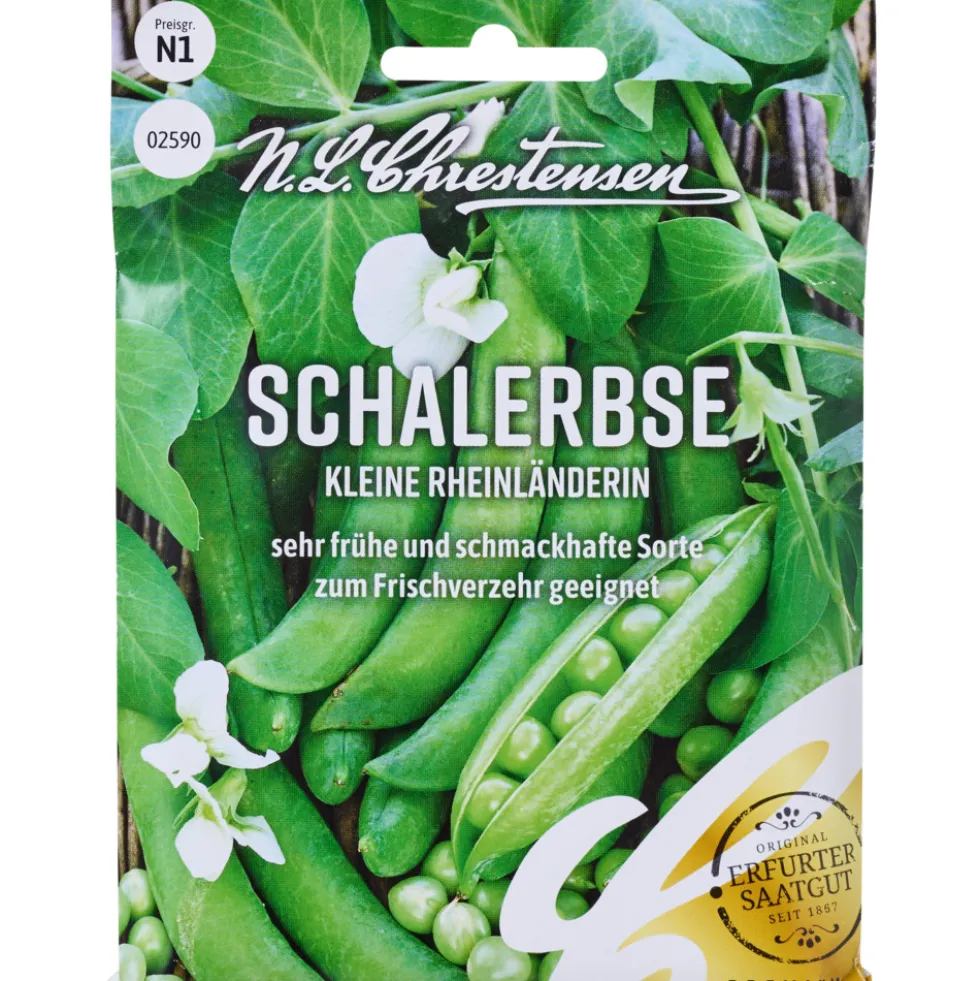 Saatgut Schalerbse Kleine Rheinländerin