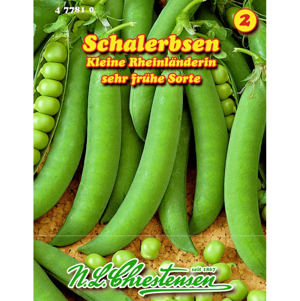 Saatgut Schalerbsen ca. 12 laufende Meter