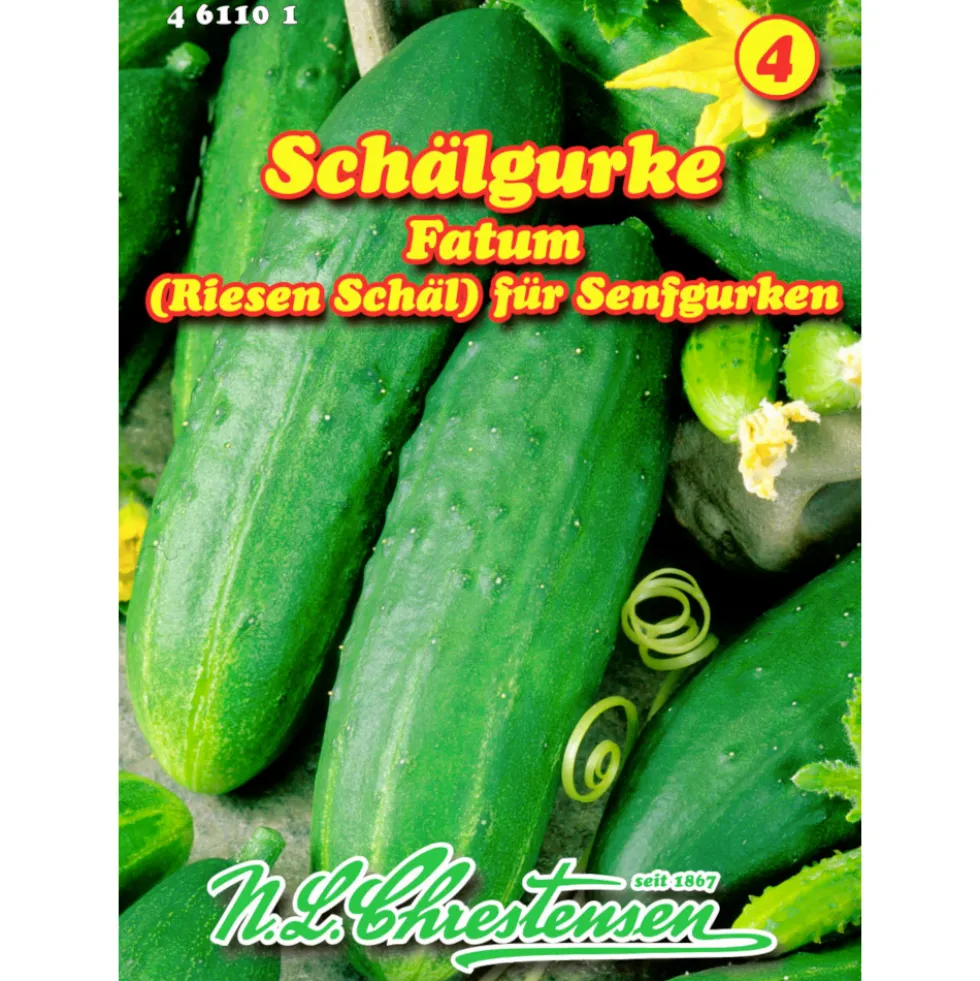 Saatgut Schälgurke Fatum ca. 40 Pflanzen