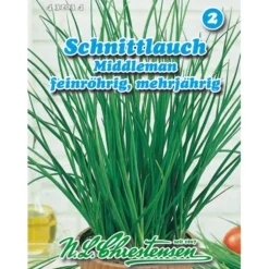Saatgut Schnittlauch Middleman ca. 100 Pflanzen