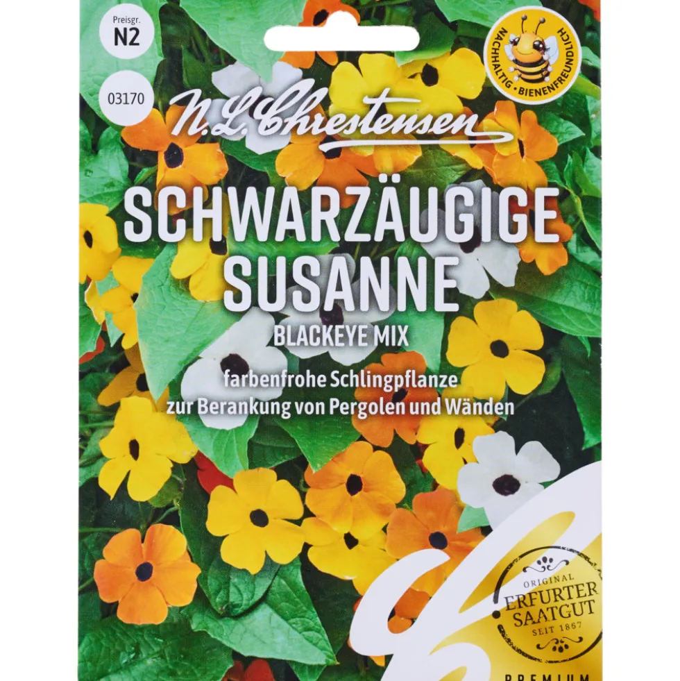 Saatgut Schwarzäugige Susanne Blackeye Mix
