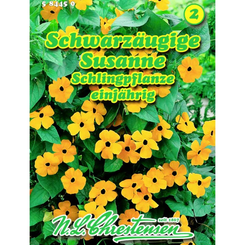 Saatgut Schwarzäugige Susanne ca. 12-15 lfd. Meter
