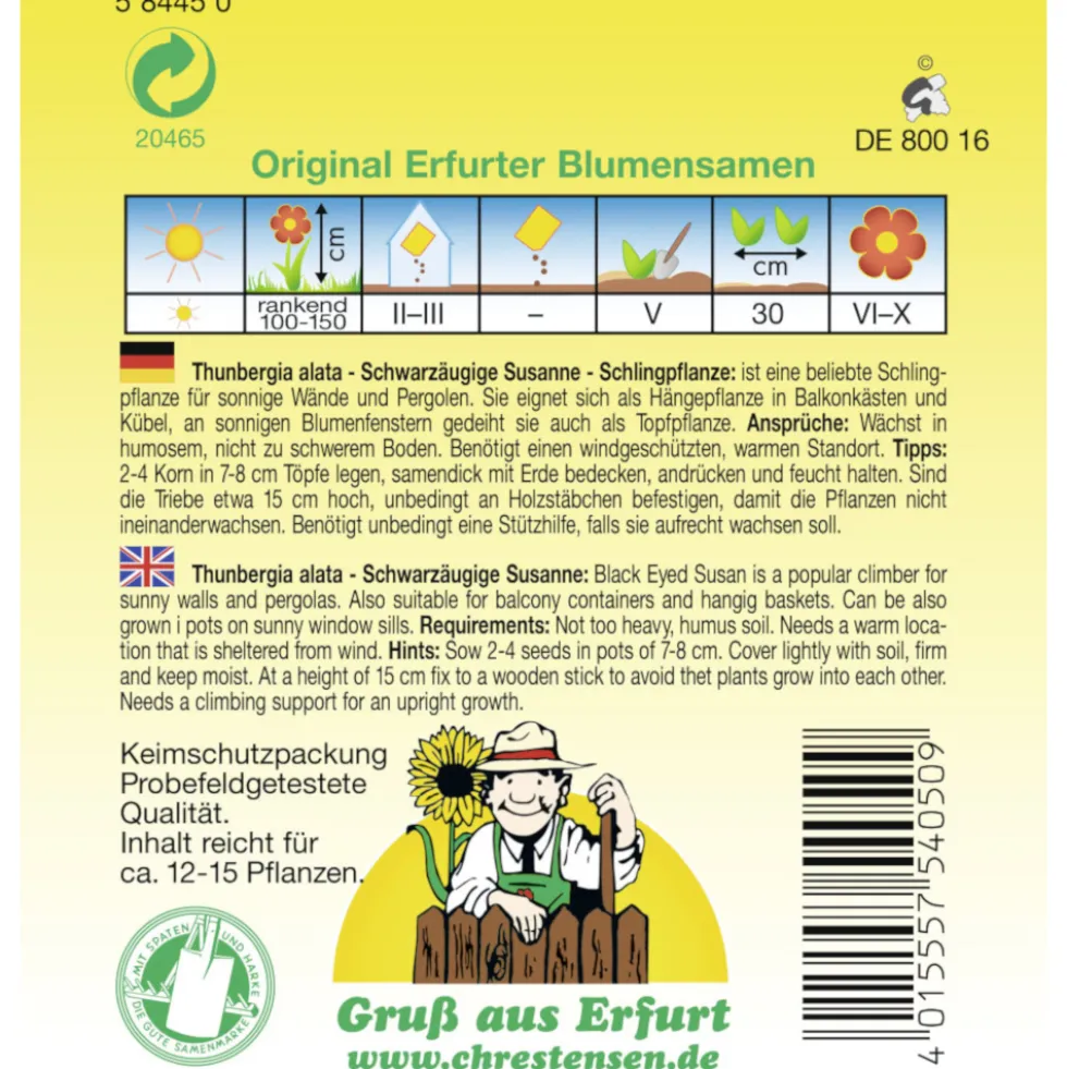 Saatgut Schwarzäugige Susanne ca. 12-15 lfd. Meter