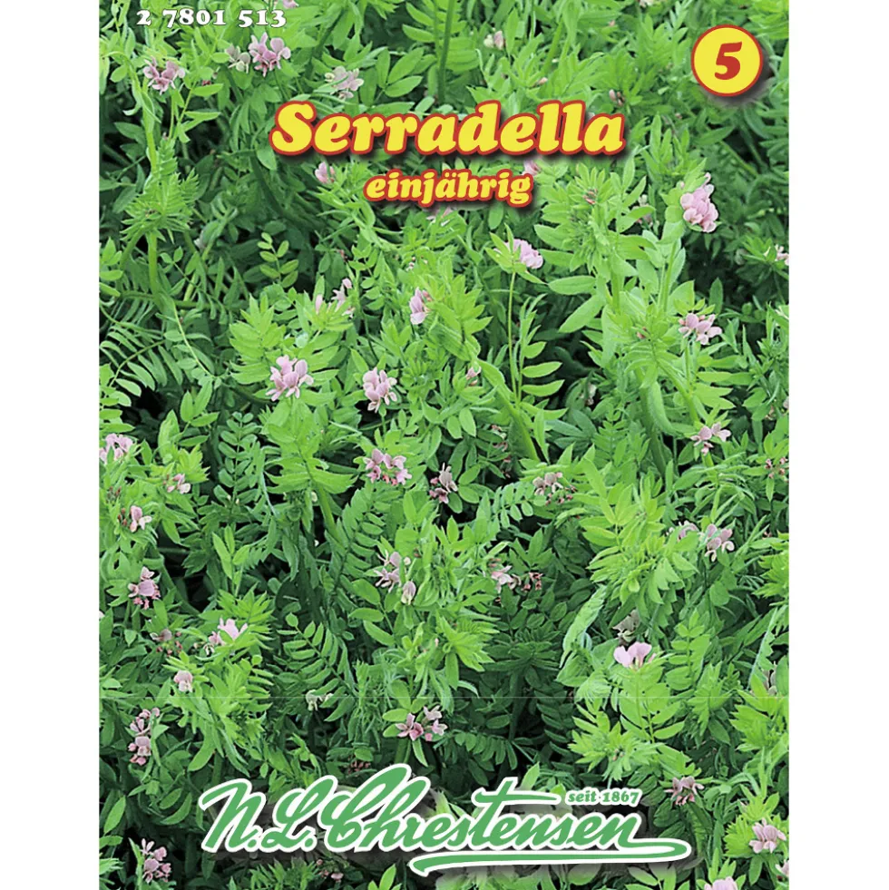 Saatgut Serradella ca. 20 m²