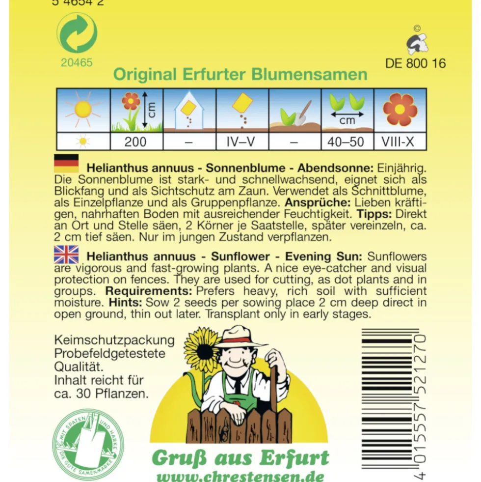 Saatgut Sonnenblume Abendsonne ca. 30 Pflanzen