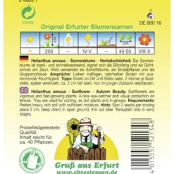 Saatgut Sonnenblume ca. 40 Pflanzen