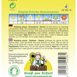 Saatgut Sonnenblume Domino ca. 25 Pflanzen