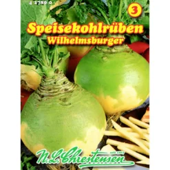Saatgut Speisekohlrübe ca. 100 Pflanzen