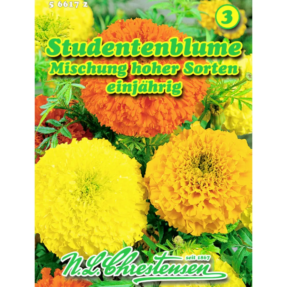 Saatgut Studentenblume Tagetes Mix ca. 60 Pflanzen