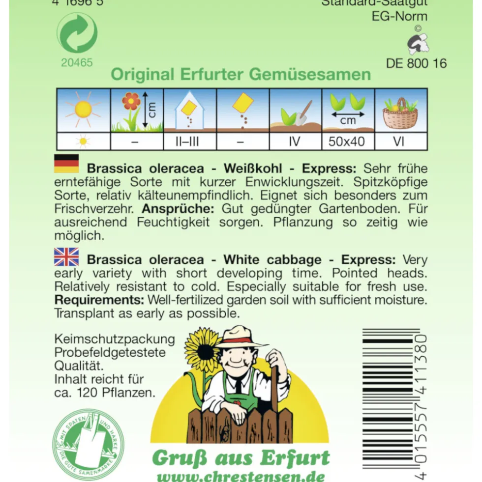 Saatgut Weißkohl Express Spitzkohl ca. 120 Pflanzen